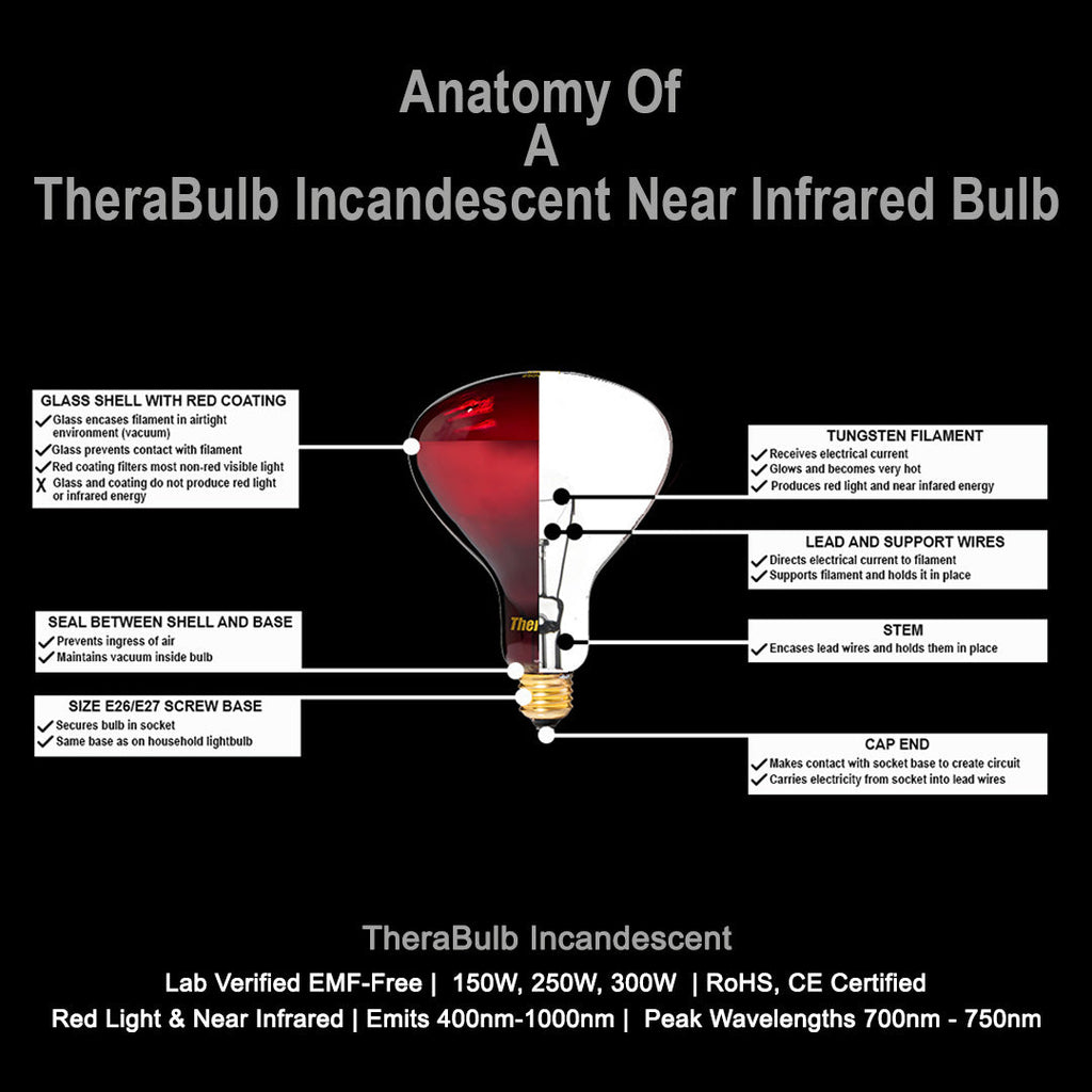 TheraBulb 150W Near Infrared Bulb