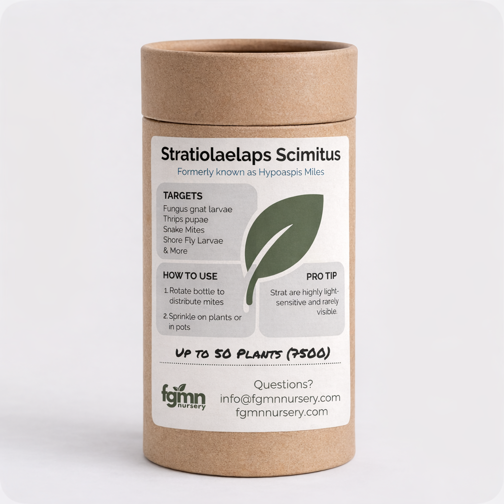 Stratiolaelaps Scimitus